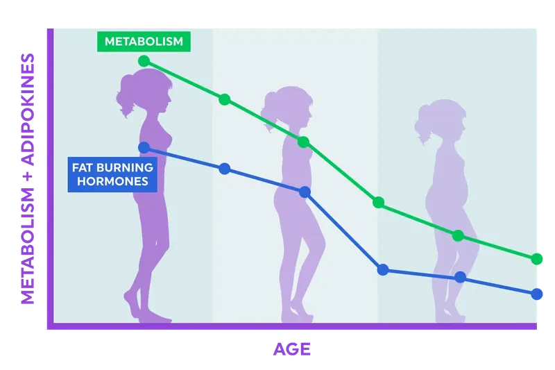 Rejuvit vs regular supplements